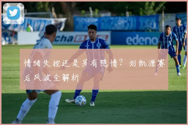 情绪失控还是另有隐情？刘凯源赛后风波全解析